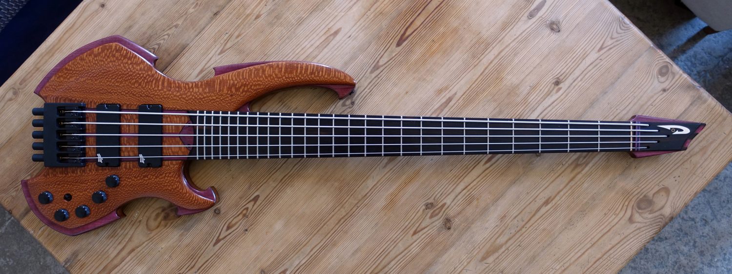 D'ARCO Shakti 5-String Bass