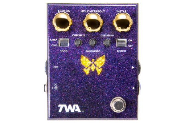 TWA Introduces the DM-02 Dynamorph