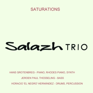 Salazh Trio: Saturations
