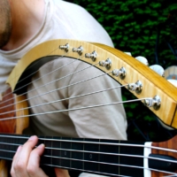 Zander Zon: 16 String Harp Bass