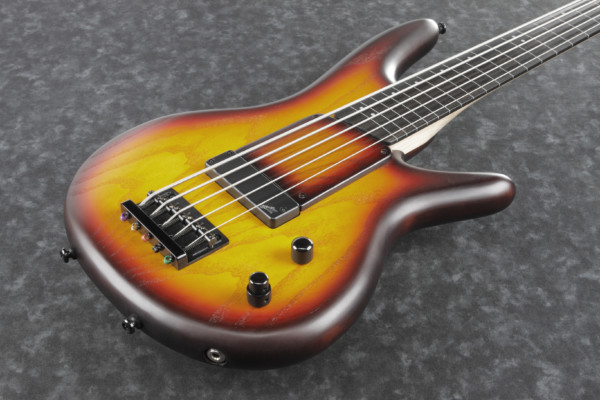 Ibanez Announces the Gary Willis 20th Anniversary Signature Bass