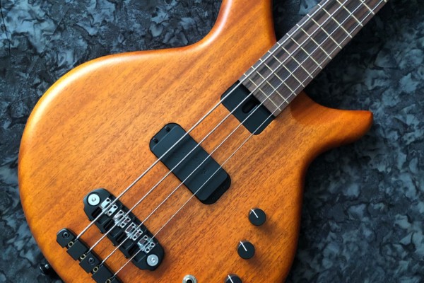 Skjold Design Guitars Introduces the Greyling Bass