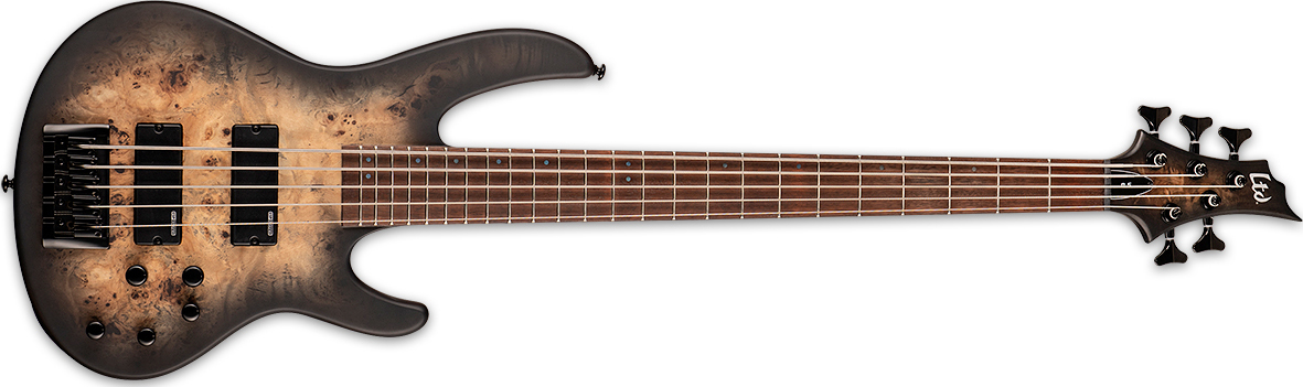 ESP LTD D-5 Bass