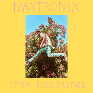 Naytronix: Other Possibilities
