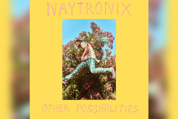 Naytronix Releases “Other Possibilities”