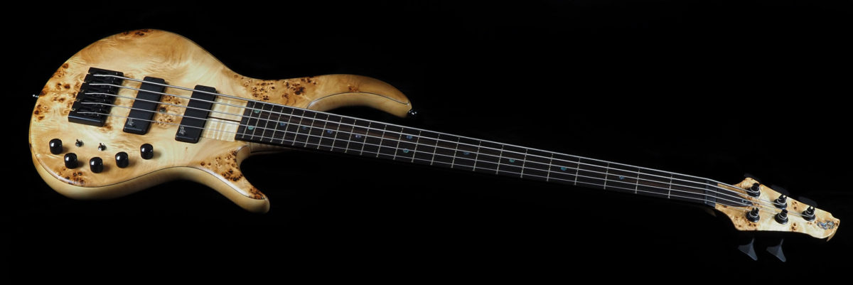 RJ Customs Valupture Bass