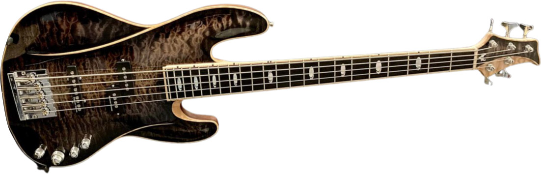 Dooley Designs 5 string J-P Bass