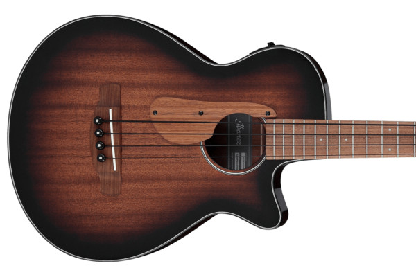 Ibanez Introduces New Acoustic Bass Guitar for NAMM