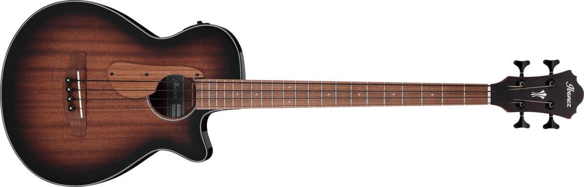 Ibanez AEGB24E-MHS Acoustic Bass Guitar