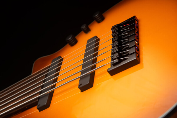 Bass of the Week: Emiliano Bernal Fretless Seven-String Bass